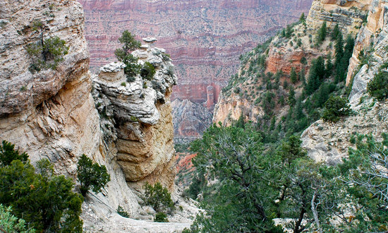 The Grand Canyon in Arizona, USA