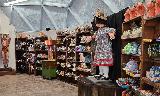 Gift Shop at Meteor City  in Arizona between Winslow and Flagstaff on Route 66