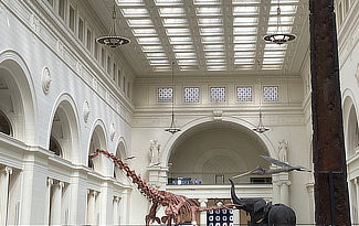 The Field Museum in Chicago